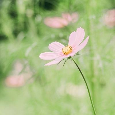 李炳军在安顺调研