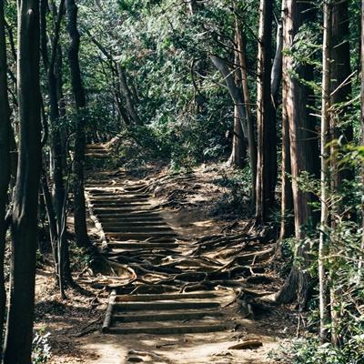 三峡电站发电量较去年同期增幅超100亿千瓦时